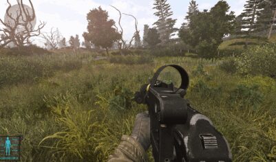 Boomsticks and Sharpsticks  