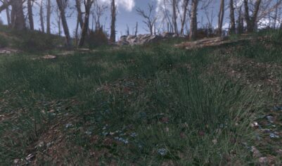 Green Commonwealth — Performance Friendly Grass Mod v1.5.1  