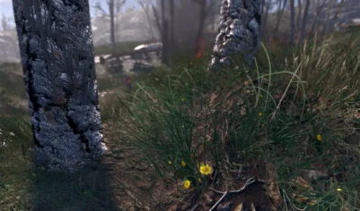 Spring in the Commonwealth — A Performance Friendly Grass Mod  