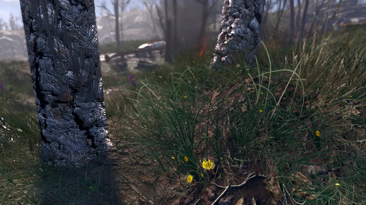 Spring in the Commonwealth — A Performance Friendly Grass Mod