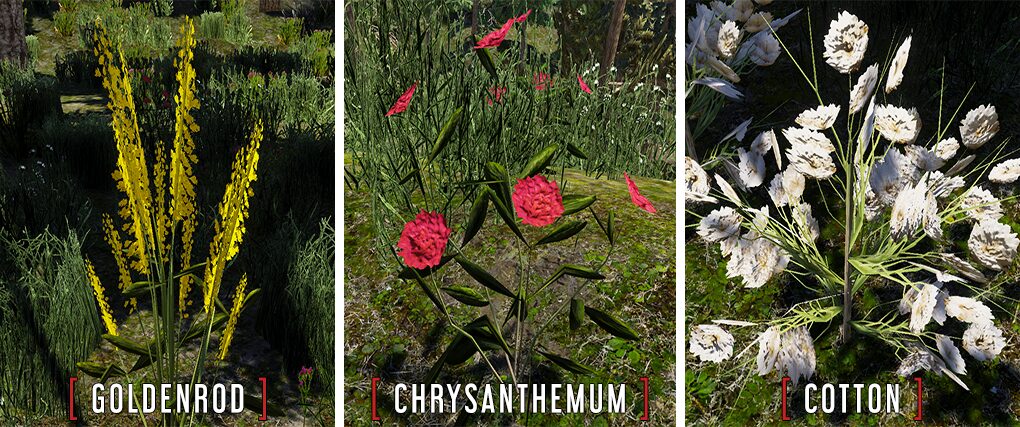 Новые растения